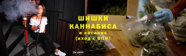 PSILOCYBIN Алексеевка