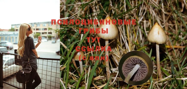 PSILOCYBIN Алексеевка
