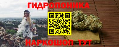хмурый Тара