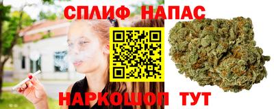 хмурый Тара