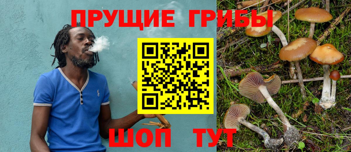 Балашов  Псилоцибиновые грибы ЛСД  Галлюциногенные грибы Cubensis  Вход с VPN 